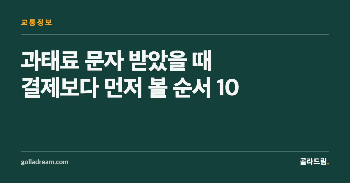 과태료 문자 받았을 때, 결제 버튼보다 먼저 눌러야 할 순서 10