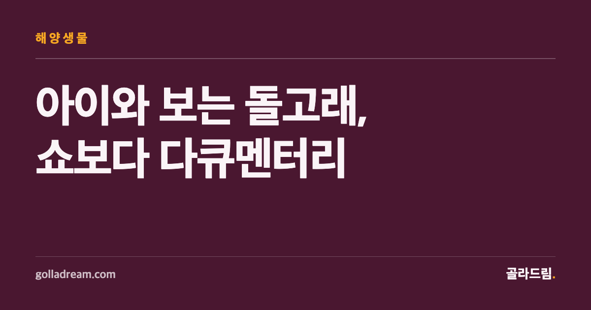 아이에게 돌고래를 알려줄 땐, 쇼보다 다큐멘터리로 시작하자