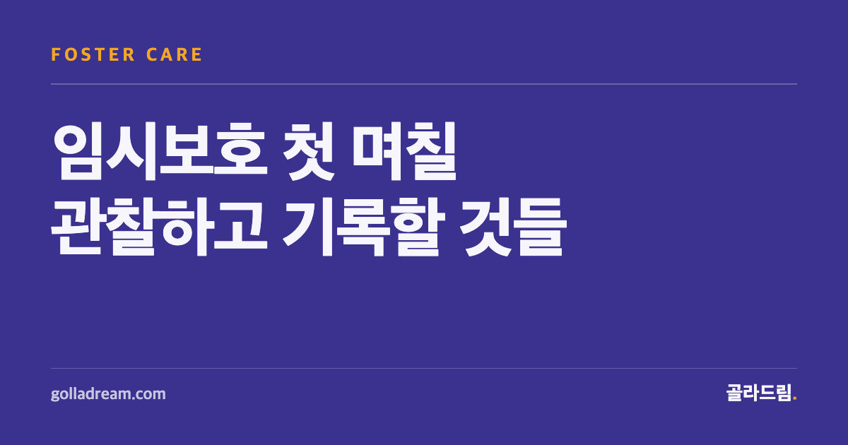 임시보호 첫 며칠, 무엇을 관찰하고 기록해야 할까