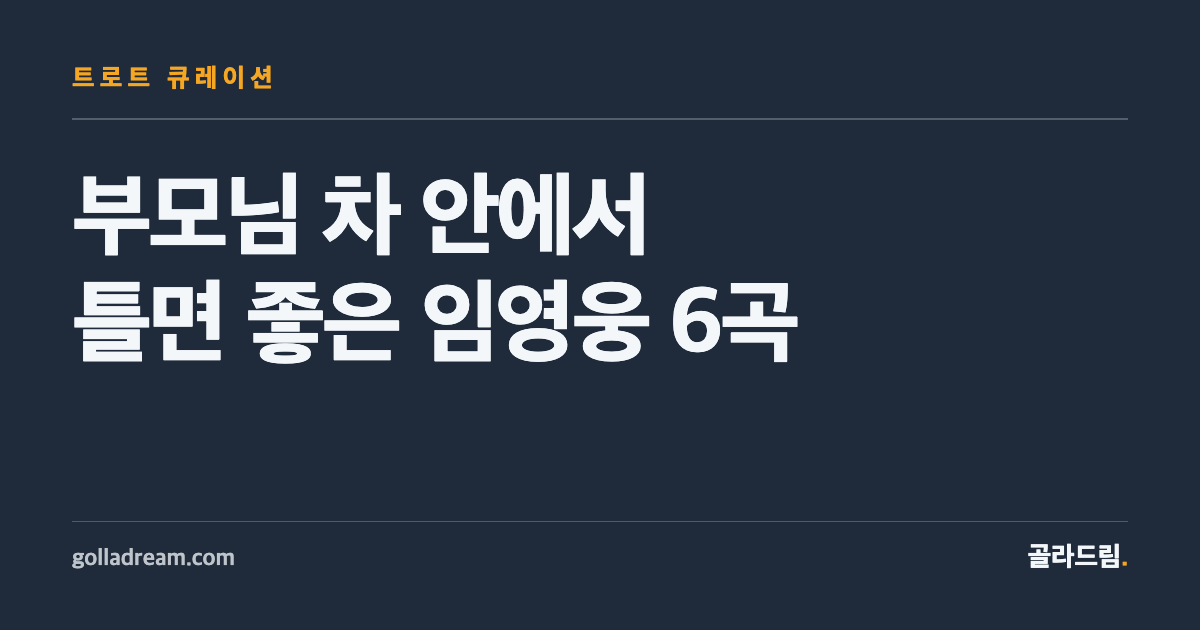 부모님 차 안에서 틀면 분위기가 달라지는 임영웅 노래 6곡