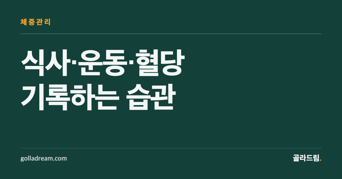 마운자로 쓰는 동안, 약만큼 중요한 식사·운동·혈당 기록 습관