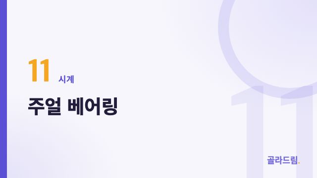 주얼 베어링