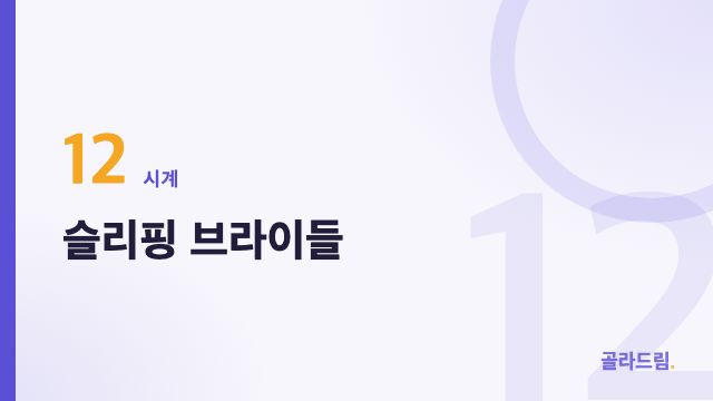슬리핑 브라이들