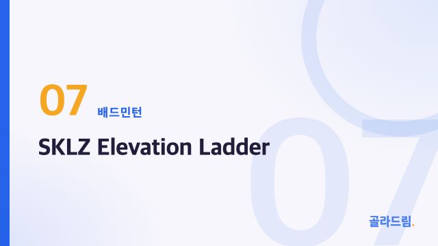 SKLZ Elevation Ladder