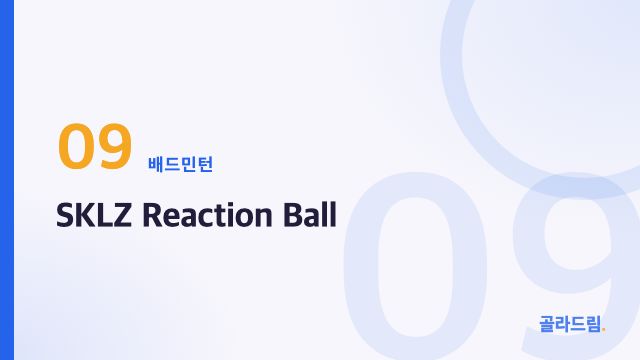 SKLZ Reaction Ball