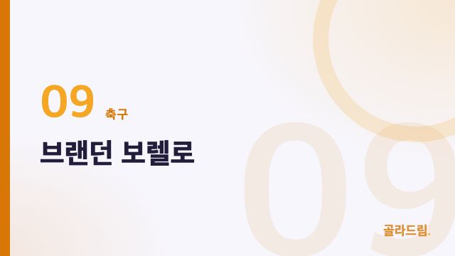 브랜던 보렐로