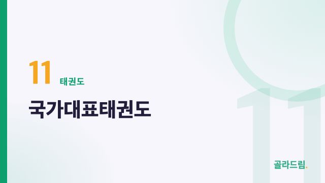 국가대표태권도
