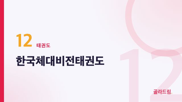 한국체대비전태권도