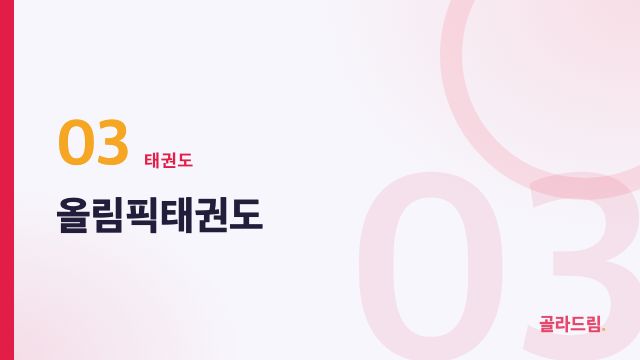 올림픽태권도