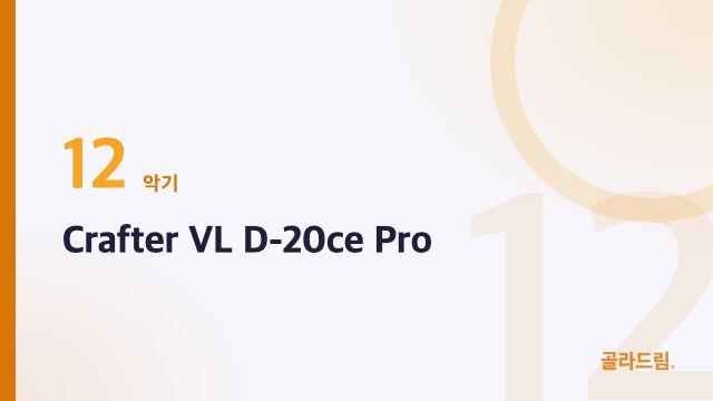 Crafter VL D-20ce Pro