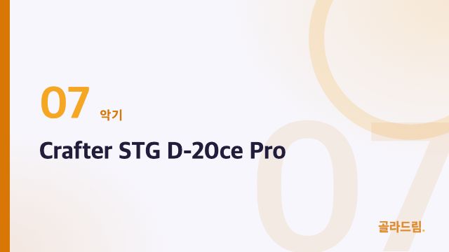 Crafter STG D-20ce Pro