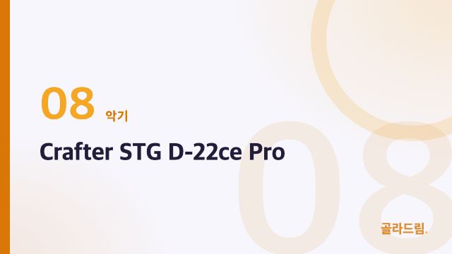 Crafter STG D-22ce Pro