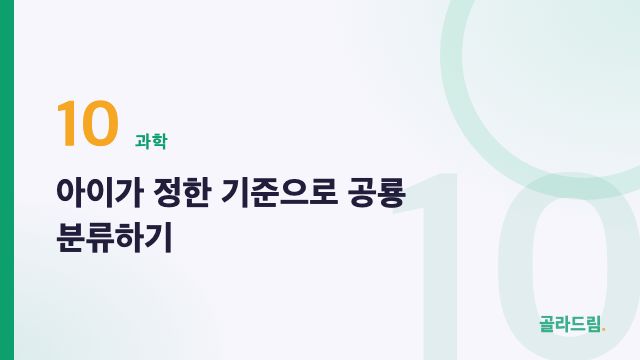 아이가 정한 기준으로 공룡 분류하기