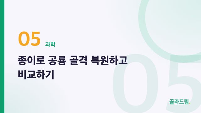 종이로 공룡 골격 복원하고 비교하기