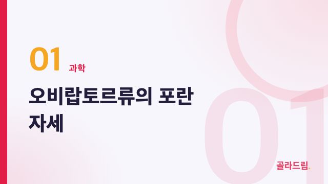 오비랍토르류의 포란 자세