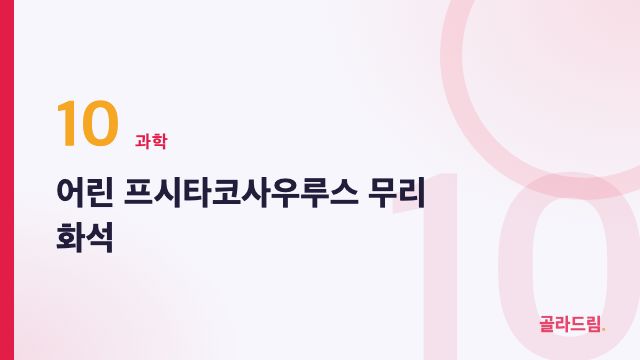 어린 프시타코사우루스 무리 화석