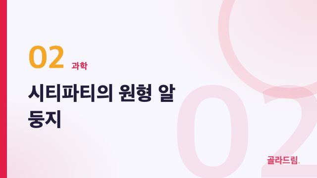 시티파티의 원형 알 둥지