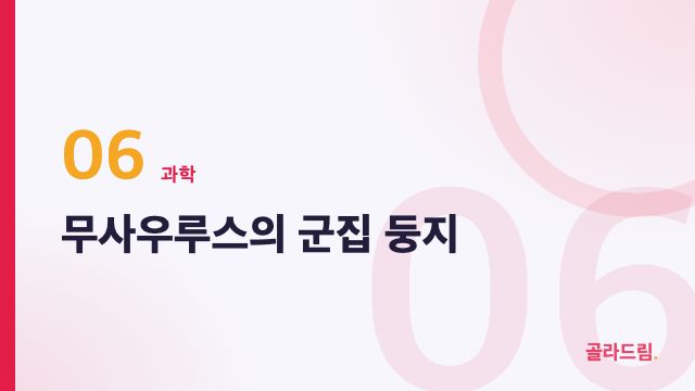 무사우루스의 군집 둥지
