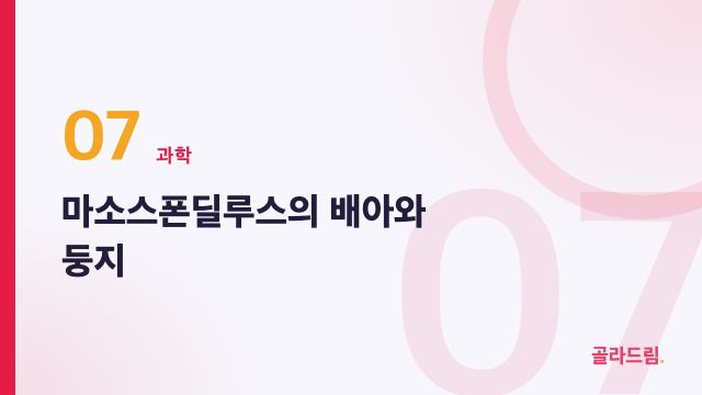 마소스폰딜루스의 배아와 둥지