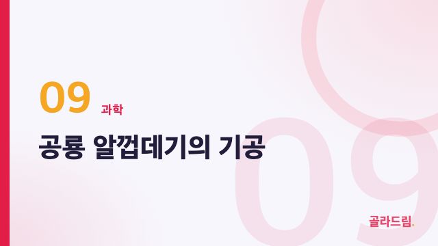 공룡 알껍데기의 기공