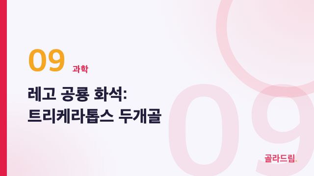 레고 공룡 화석: 트리케라톱스 두개골