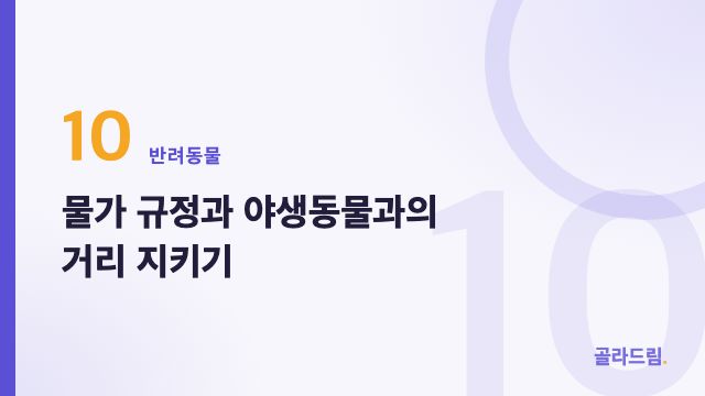 물가 규정과 야생동물과의 거리 지키기