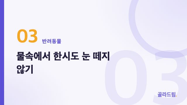 물속에서 한시도 눈 떼지 않기