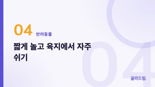 짧게 놀고 육지에서 자주 쉬기
