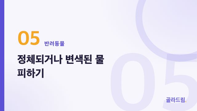 정체되거나 변색된 물 피하기