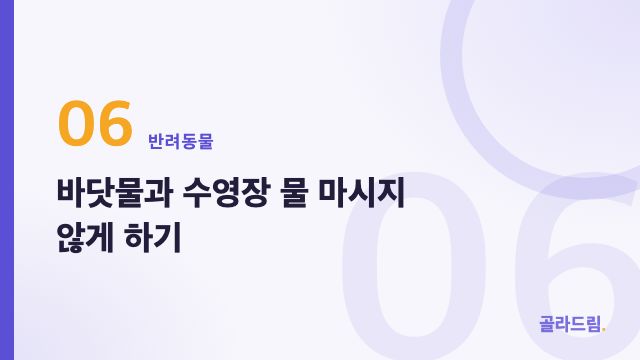 바닷물과 수영장 물 마시지 않게 하기