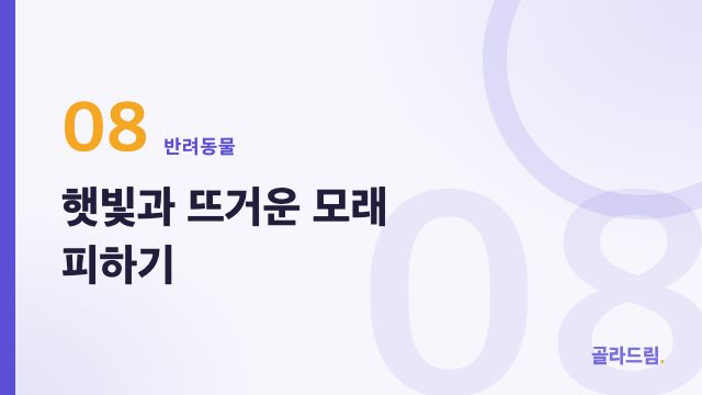 햇빛과 뜨거운 모래 피하기