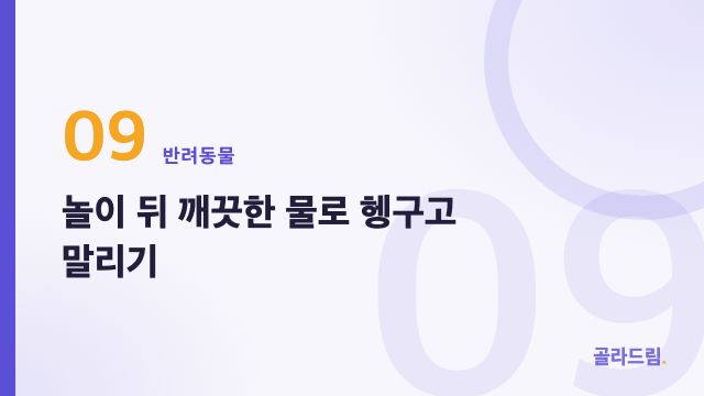 놀이 뒤 깨끗한 물로 헹구고 말리기
