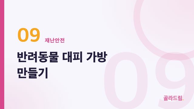 반려동물 대피 가방 만들기