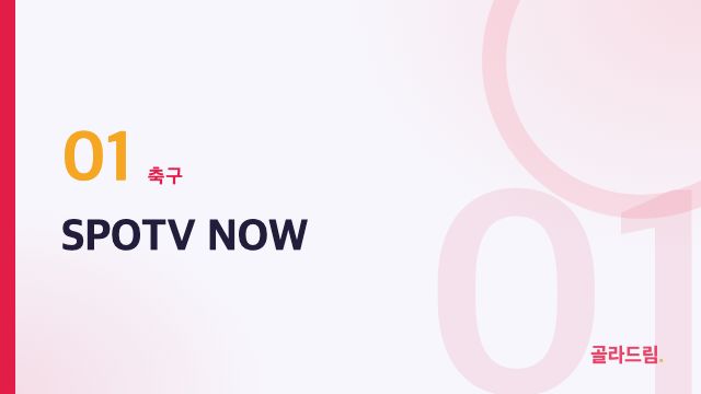 SPOTV NOW