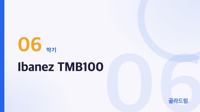 Ibanez TMB100