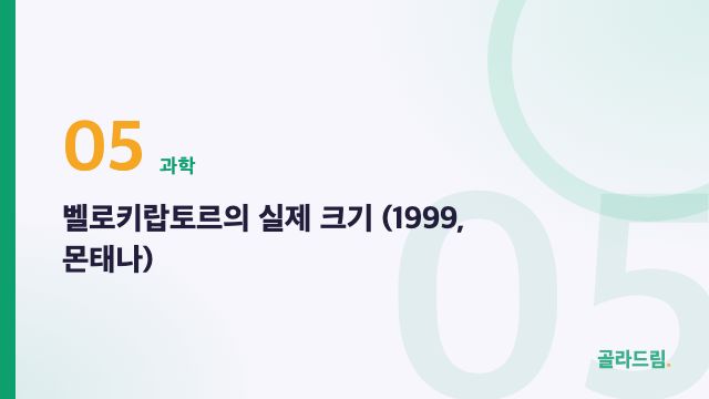 벨로키랍토르의 실제 크기 (1999, 몬태나)