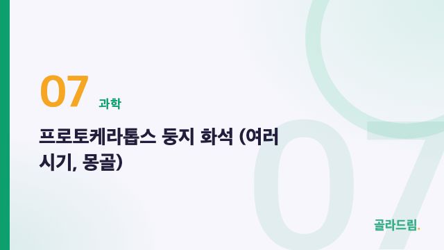 프로토케라톱스 둥지 화석 (여러 시기, 몽골)