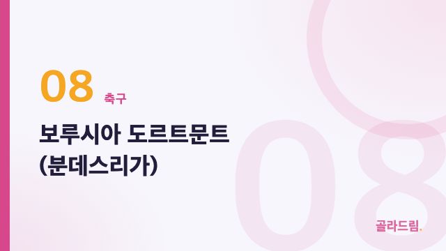 보루시아 도르트문트 (분데스리가)