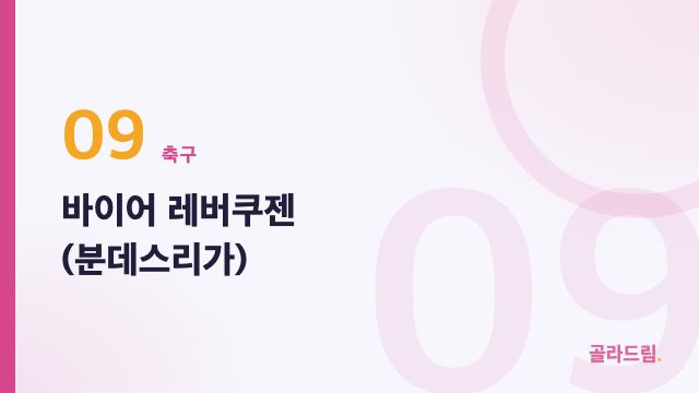바이어 레버쿠젠 (분데스리가)