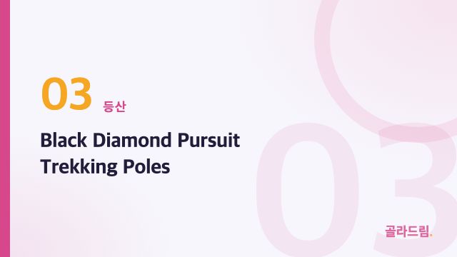 Black Diamond Pursuit Trekking Poles