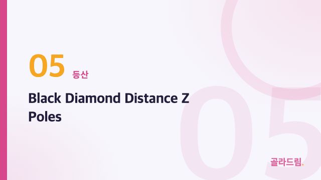 Black Diamond Distance Z Poles