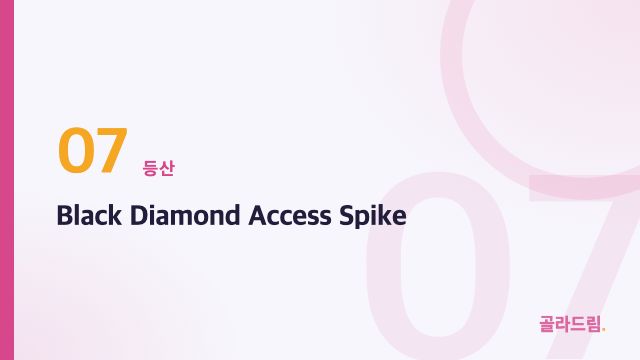 Black Diamond Access Spike
