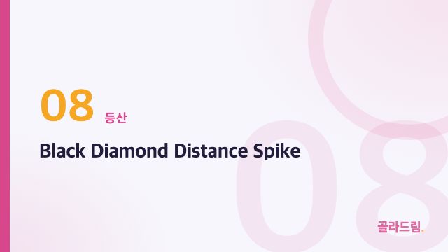 Black Diamond Distance Spike