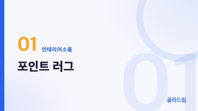 포인트 러그