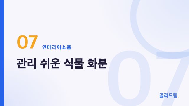 관리 쉬운 식물 화분
