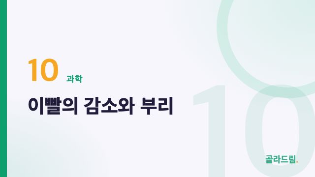 이빨의 감소와 부리
