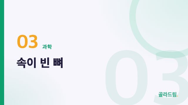 속이 빈 뼈