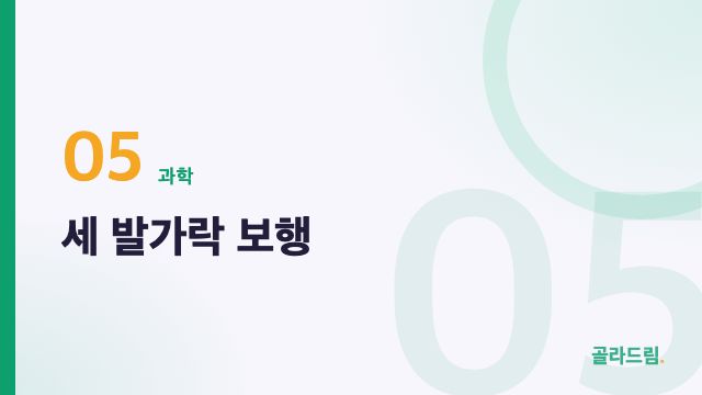 세 발가락 보행