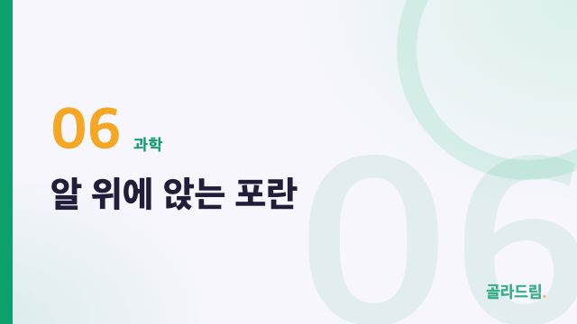 알 위에 앉는 포란