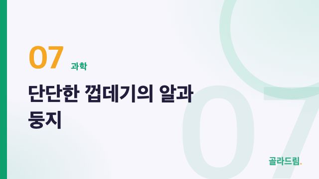 단단한 껍데기의 알과 둥지